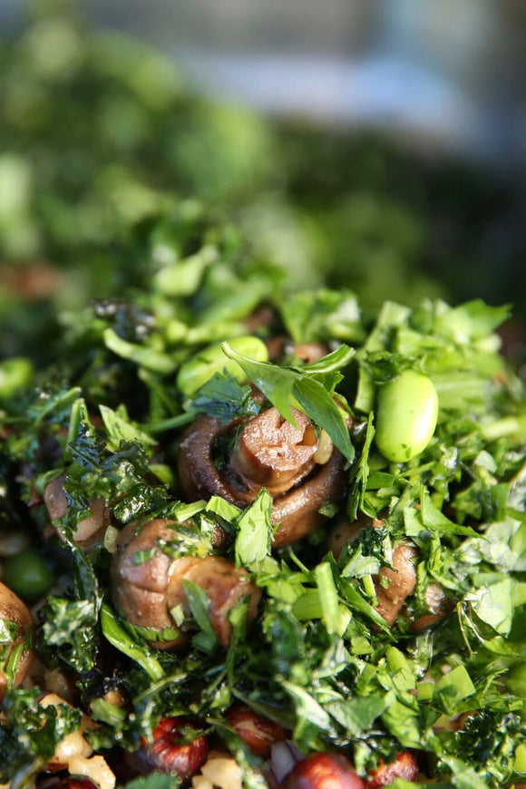 Warm Winter Stomp Salad