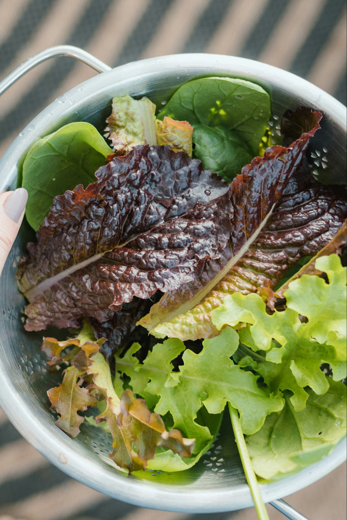 Summer Festive Salads